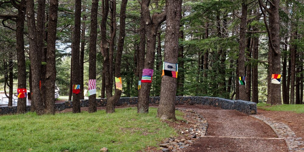 Himalayan Cedars wrapped in warm scarves